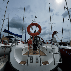 Klient w krawacie - Maxus 33